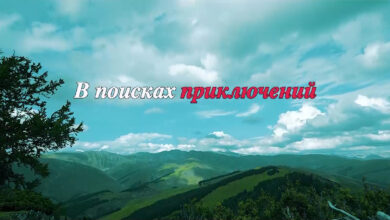 Photo of Фильм 2023: в поисках приключений