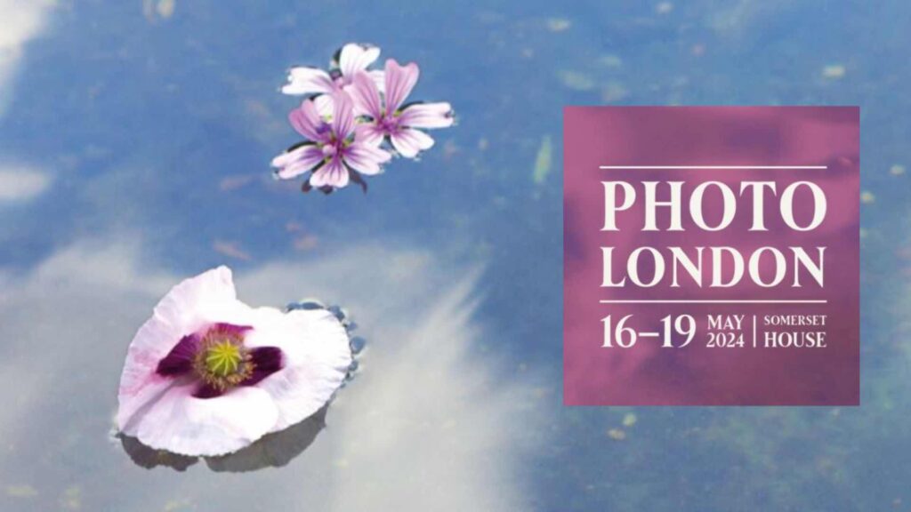 Фото 35 — Фильм 2024: откровения прошлого