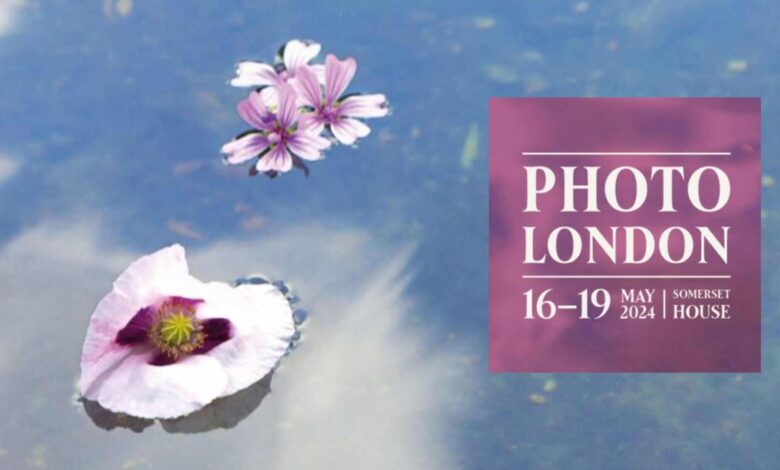 Photo of Фильм 2024: откровения прошлого