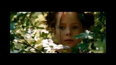 Photo of Фильмы о животных, которые тронут сердце