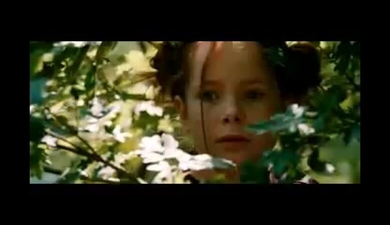 Photo of Фильмы о животных, которые тронут сердце