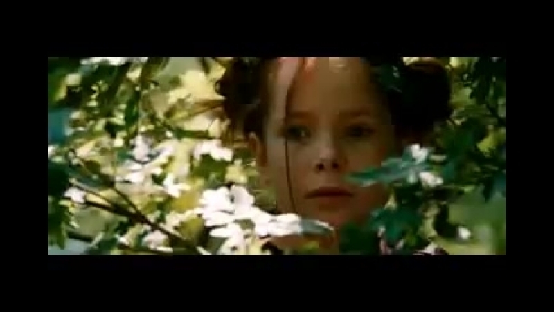 Фото 40 — Фильмы о животных, которые тронут сердце