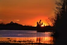 Photo of Как выбрать фильм на вечер?