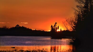 Photo of Как выбрать фильм на вечер?