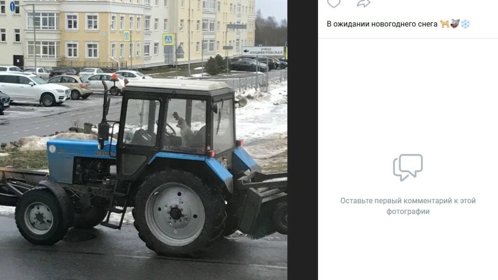 Фото 52 — Фильм 2024: загадочное исчезновение