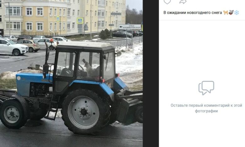 Photo of Фильм 2024: загадочное исчезновение