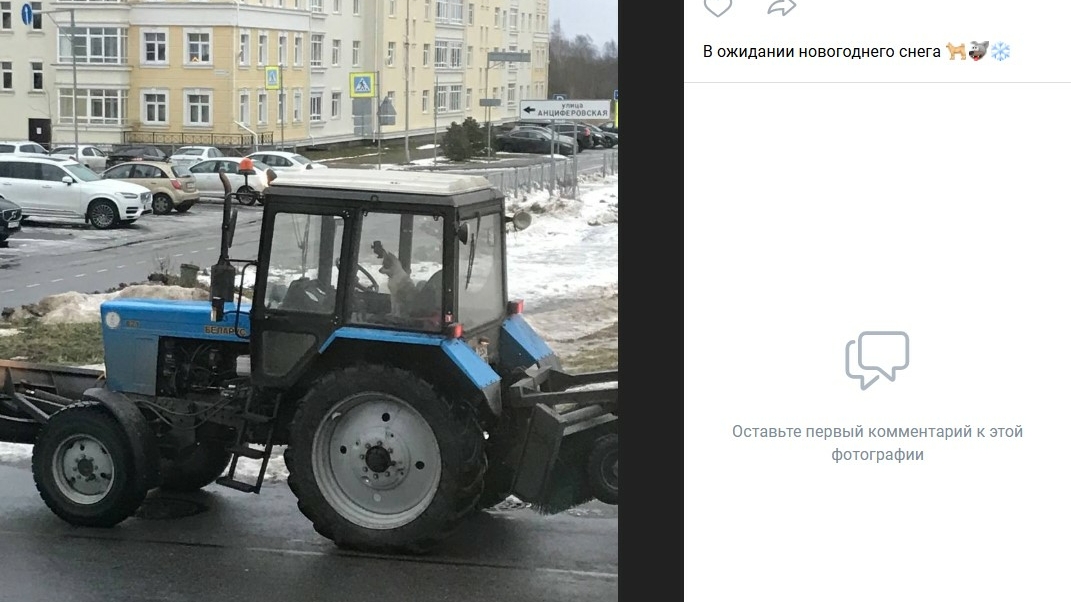 Фото 52 — Фильм 2024: загадочное исчезновение